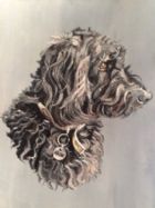 Dog Portrait Oil Painting